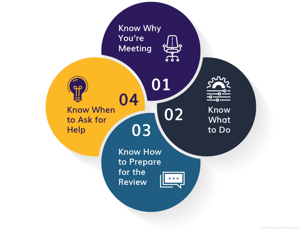 Centric Consulting enterprise program and project management tracking business goals chart